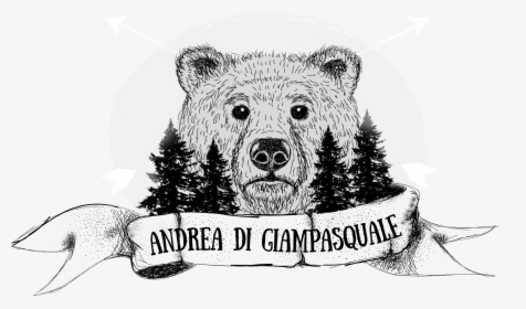 Andrea Di Giampasquale Photography - Kodiak Bear, HD Png Download, Transparent PNG