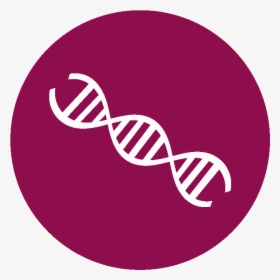 Thumb Image - Png Epigenetica, Transparent Png , Transparent Png Image ...