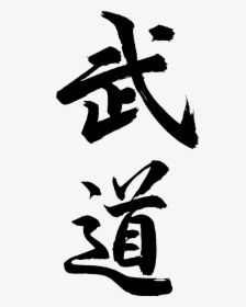 Aikido Png, Transparent Png, Transparent PNG