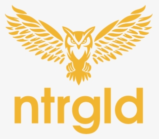 Neter Gold Logo, HD Png Download, Transparent PNG