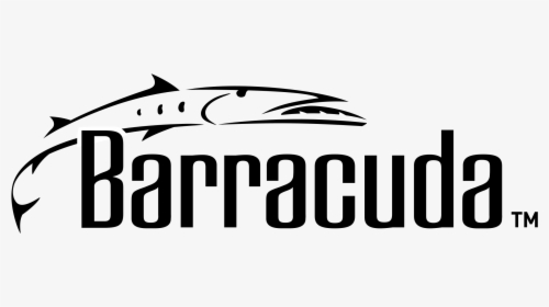 Barracuda Logo Png Transparent - Graphics, Png Download, Transparent PNG