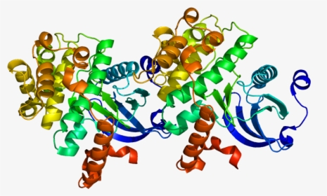 Protein Taok2 Pdb 1u5q - Taok2, HD Png Download, Transparent PNG