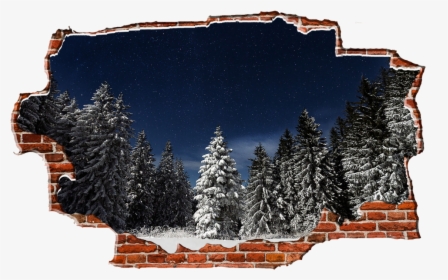 Zapwalls Decals Evergreen Snowy Trees Dark Night Breaking - Snow, HD Png Download, Transparent PNG