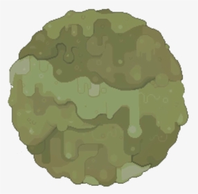 Cauliflower, HD Png Download, Transparent PNG