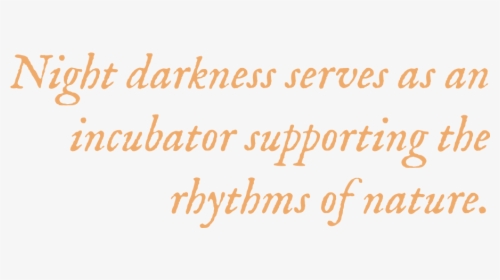 Night Darkness Serves As An Incubator Supporting The - Calligraphy, HD Png Download, Transparent PNG