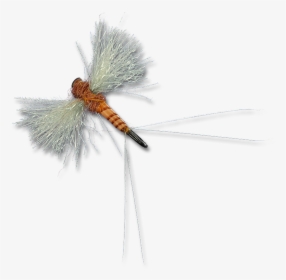 Cdc Biot Spinners - Dragonfly, HD Png Download, Transparent PNG