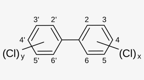 Polybrominated Biphenyls, HD Png Download, Transparent PNG
