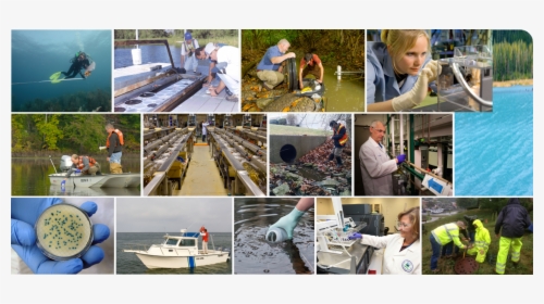 Epa Researchers Conducting Research From Left To Right - Collage, HD Png Download, Transparent PNG