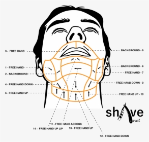 Right Way To Shave Facial Hair, HD Png Download, Transparent PNG