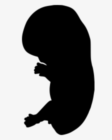 Embryo Silhouette Clip Art - Embryo Silhouette Png, Transparent Png, Transparent PNG