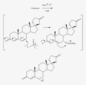 Prorenone Synthesis - Mestrolone Synthesis, HD Png Download, Transparent PNG