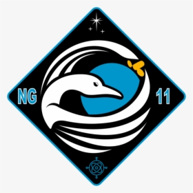 Ng-11 Patch - Cygnus Ng 11 Patch, HD Png Download, Transparent PNG