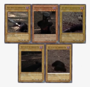 Right Am Of The Forbidden One Exooia The Forbidden - Cat Exodia, HD Png Download, Transparent PNG