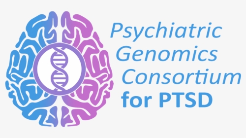 Psychiatric Genomics Consortium For Ptsd - Psychiatric Genomics Consortium Ptsd, HD Png Download, Transparent PNG