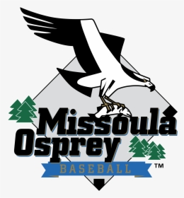 Missoula Osprey Logo Png Transparent - Missoula Osprey Logo, Png Download, Transparent PNG