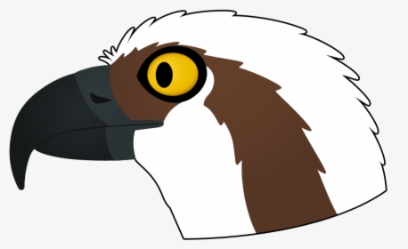 Osprey Logo - Illustration, HD Png Download, Transparent PNG