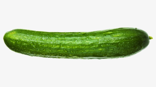 Cucumber Png -cucumber Png Image - Ogórek Png, Transparent Png, Transparent PNG