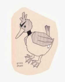 Duck, HD Png Download, Transparent PNG