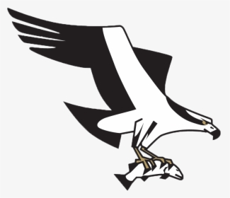 Missoula Osprey Logo, HD Png Download, Transparent PNG