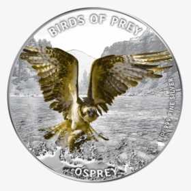 Niue 2013 2$ Osprey Birds Of Prey Proof Silver Coin - Osprey Hunting, HD Png Download, Transparent PNG