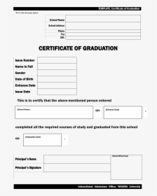Blank Graduation Certificate Sample Main Image - Study School Certificate Sample, HD Png Download, Transparent PNG
