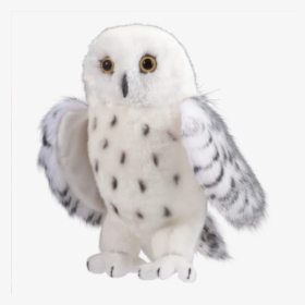 Snowy Owl Stuffed Animal, HD Png Download, Transparent PNG