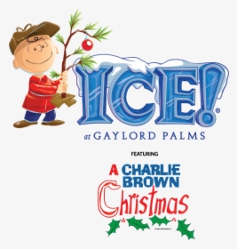 Christmas Gaylord Palms Charlie Brown July - Gaylord Hotels, HD Png Download, Transparent PNG