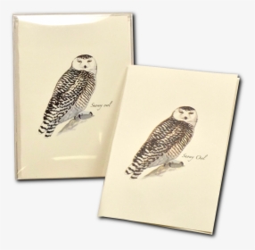 Transparent Snow Owl Png - Owl, Png Download, Transparent PNG