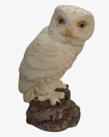 Snow Owl Png -porcelain Snowy Owl - Snowy Owl, Transparent Png, Transparent PNG