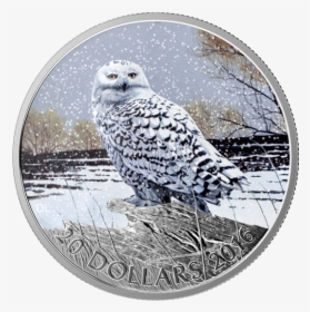 Snowy Owl Silver Coin, HD Png Download, Transparent PNG