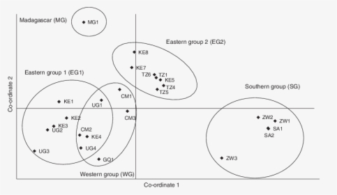 Diagram, HD Png Download, Transparent PNG