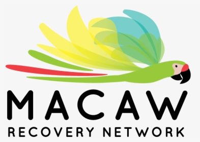 For Further Communications And Information About Macaw - Parakeet, HD Png Download, Transparent PNG