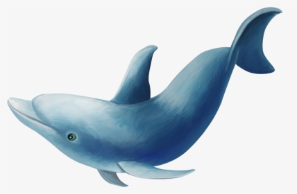 Transparent Bottlenose Dolphin Clipart - Delfin Png, Png Download, Transparent PNG