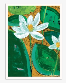 Sacred Lotus, HD Png Download, Transparent PNG