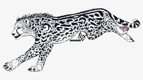 White Cheetah - Cheetah, HD Png Download, Transparent PNG