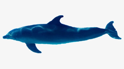 #delfin #dolphin - Whale, HD Png Download, Transparent PNG