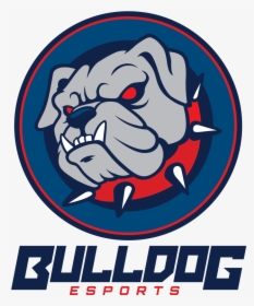 Bulldog Esports, HD Png Download, Transparent PNG