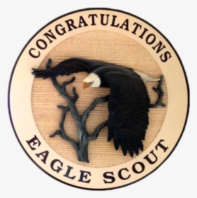 Congratulations Eagle Scout, HD Png Download, Transparent PNG