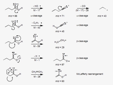 Butyric Acid Frag - Group, HD Png Download, Transparent PNG