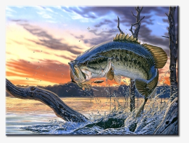 Cool Background Cool Fish, HD Png Download, Transparent PNG