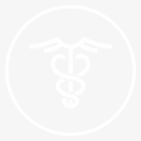 Circle, HD Png Download, Transparent PNG