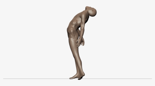 Male, HD Png Download, Transparent PNG