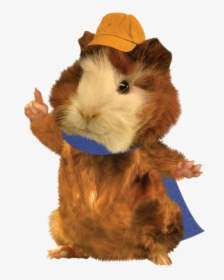 Hamster From Wonder Pets, HD Png Download, Transparent PNG