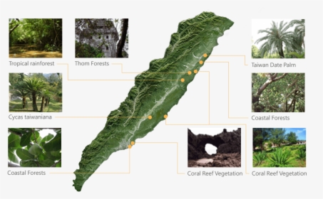 Transparent Vegetation Png - National Scenic Area, Png Download, Transparent PNG
