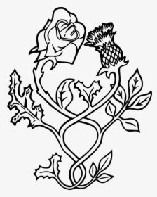 Thistle, England, Scotland, Flower, Rose, Ornament - Scottish Thistle And English Rose Tattoos, HD Png Download, Transparent PNG