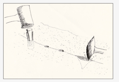 Sketch, HD Png Download, Transparent PNG