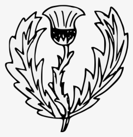 White Thistle Silhouette Clip Art, HD Png Download, Transparent PNG