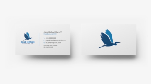 Transparent Blue Heron Png - Bluebird, Png Download, Transparent PNG
