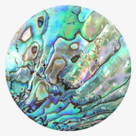 Faux Abalone, HD Png Download, Transparent PNG