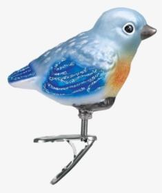 Baby Bluebird Ornament - Christmas Ornament, HD Png Download, Transparent PNG